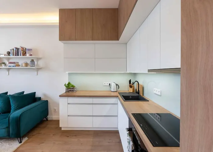 Harmony Hodolany Apartment Olomouc